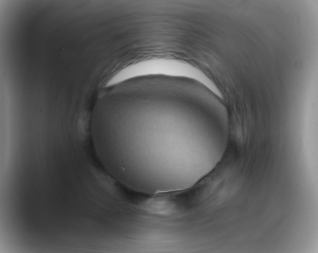 X0000089720280200707051726