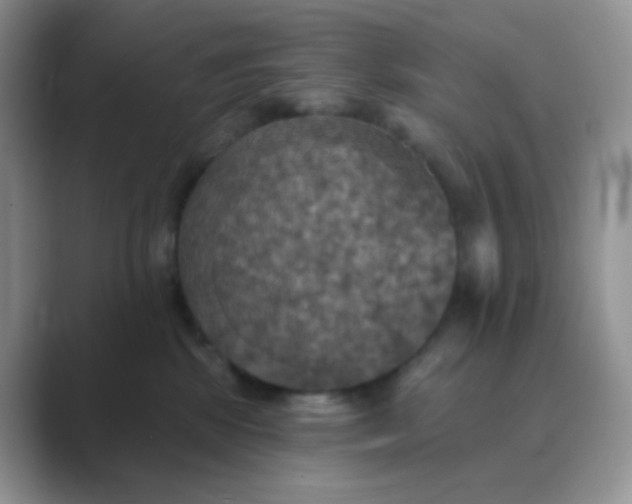 X0000089720281200707051726
