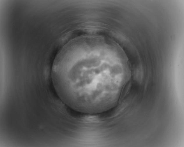 X0000089720283200707051726