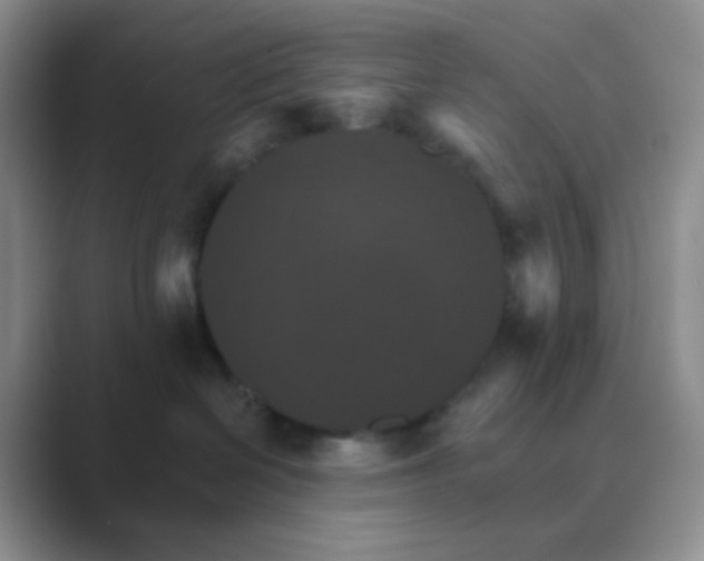 X0000089720286200707051726