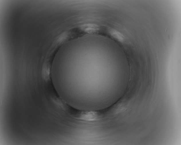 X0000089720288200707051726