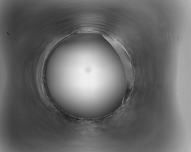 X0000089720289200707051725
