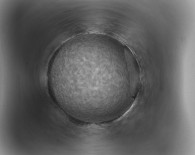 X0000089720290200707051725