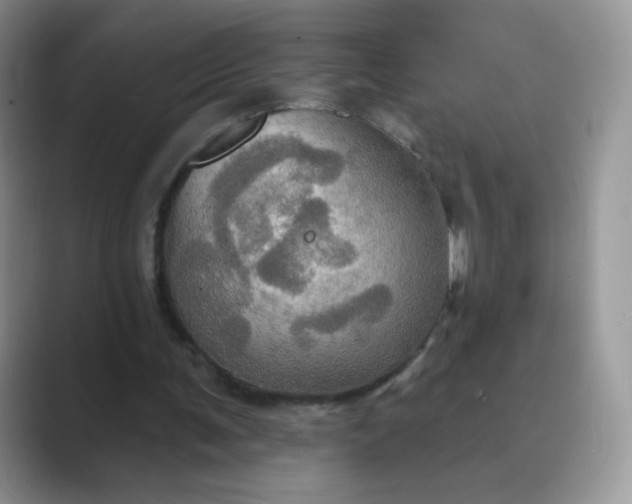 X0000089720291200707051725