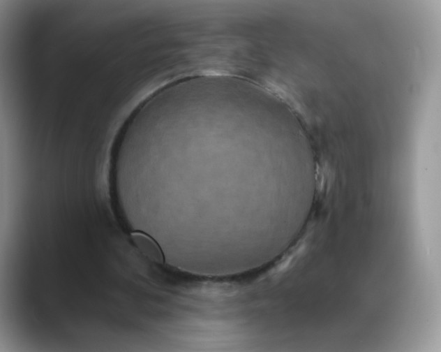 X0000089720292200707051725