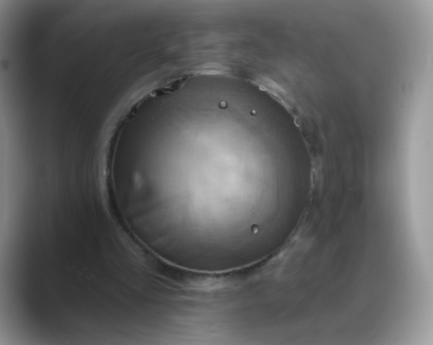 X0000089720293200707051725
