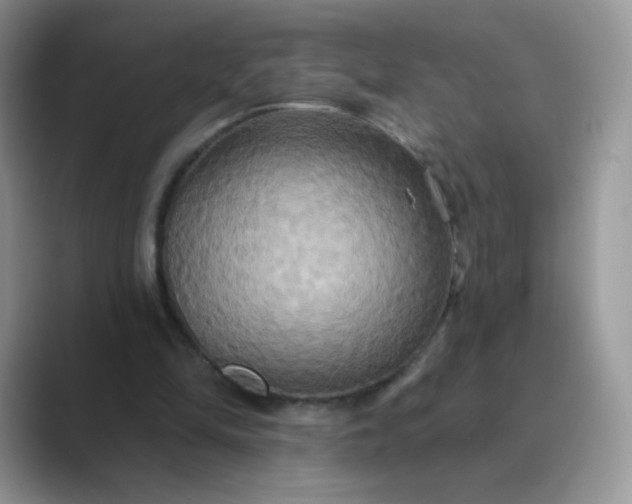 X0000089720294200707051725