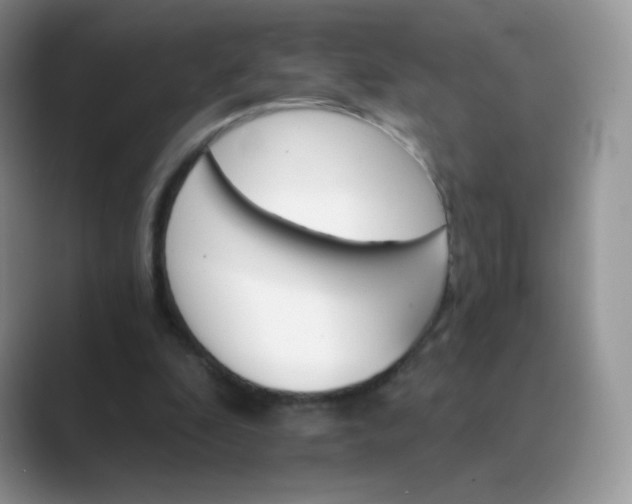 X0000089720296200707051725