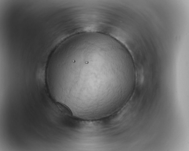 X0000089720297200707051725