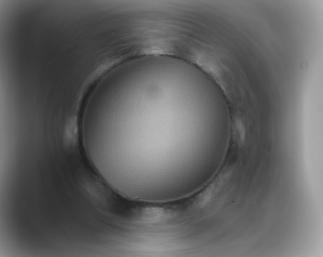 X0000089720298200707051725