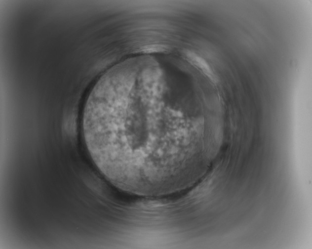 X0000089720299200707051725