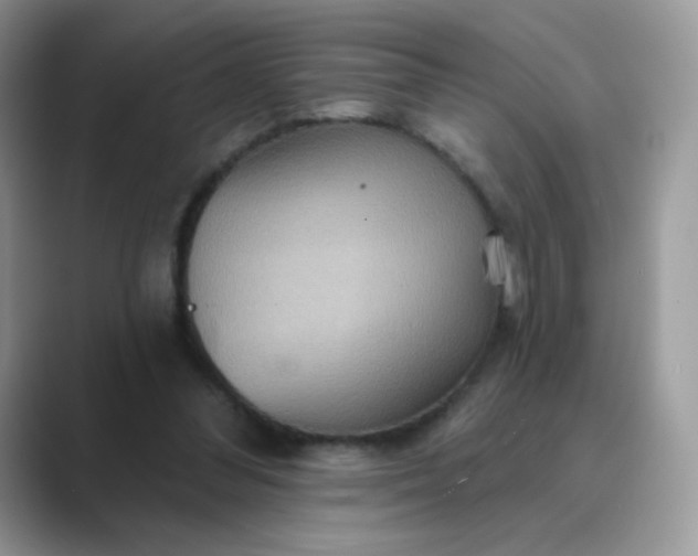 X0000089720300200707051725