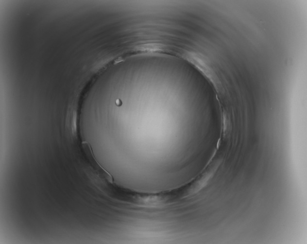 X0000089720301200707051725