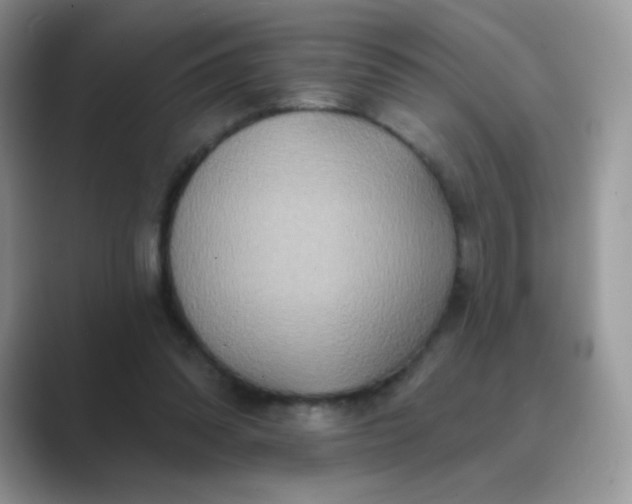 X0000089720302200707051725