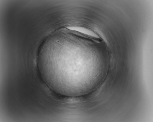 X0000089720305200707051725