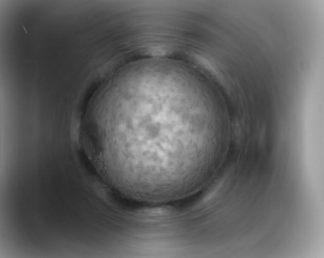 X0000089720307200707051725
