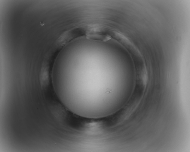 X0000089720312200707051725