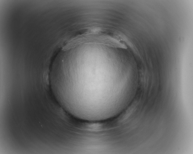 X0000089720313200707051725