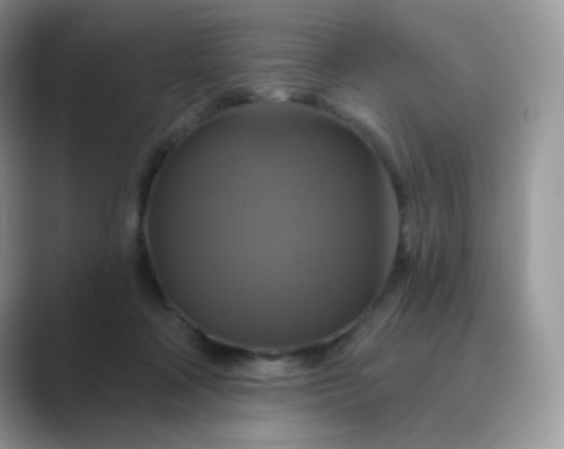 X0000089720314200707051725