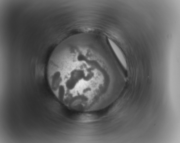 X0000089720315200707051725