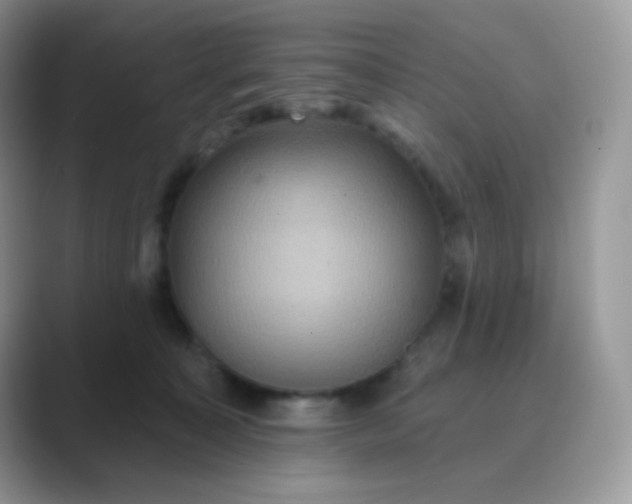 X0000089720323200707051725