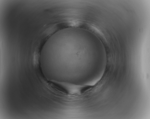 X0000089720325200707051725