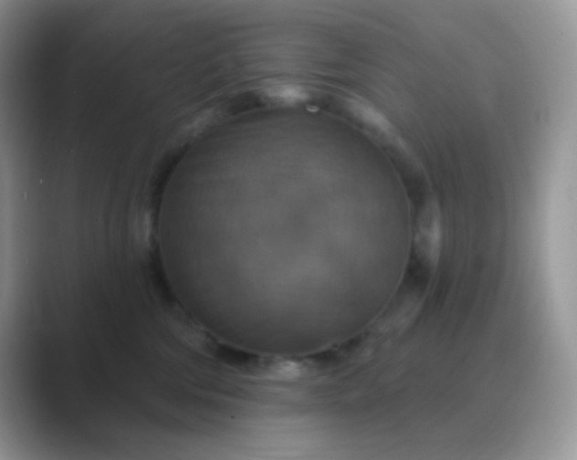 X0000089720330200707051725