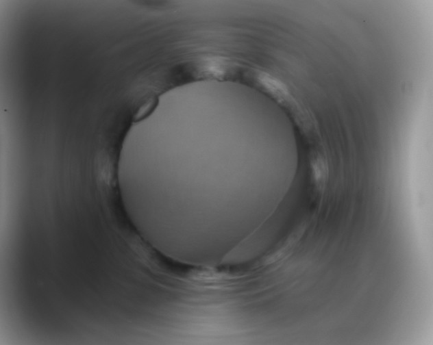 X0000089720331200707051725
