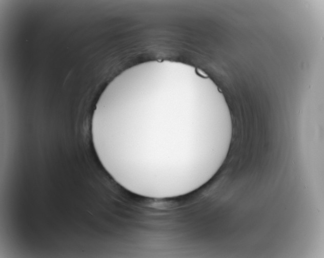 X0000089720336200707051725