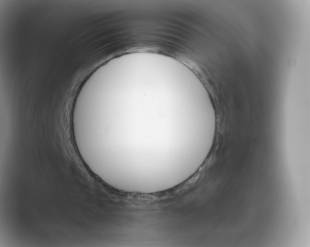 X0000089720337200707051724