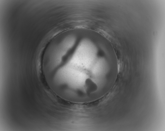 X0000089720339200707051724