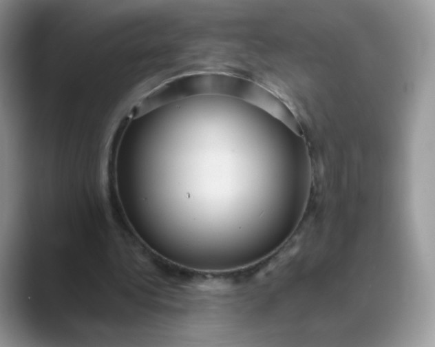 X0000089720340200707051724
