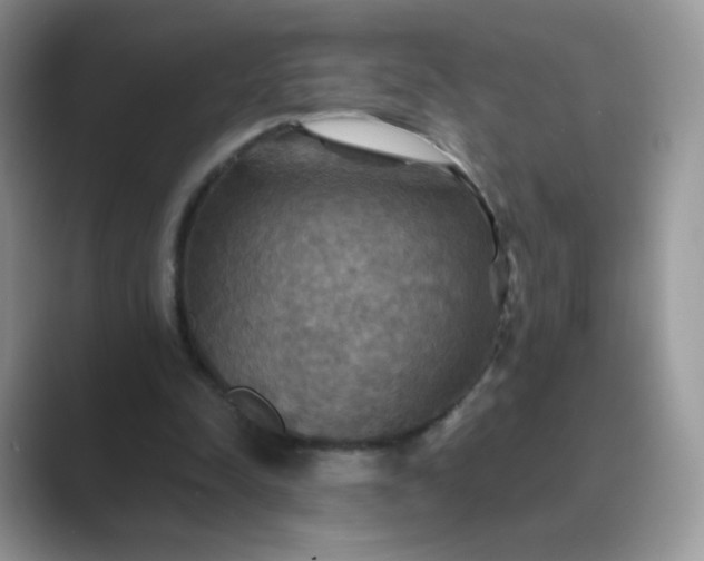 X0000089720342200707051724