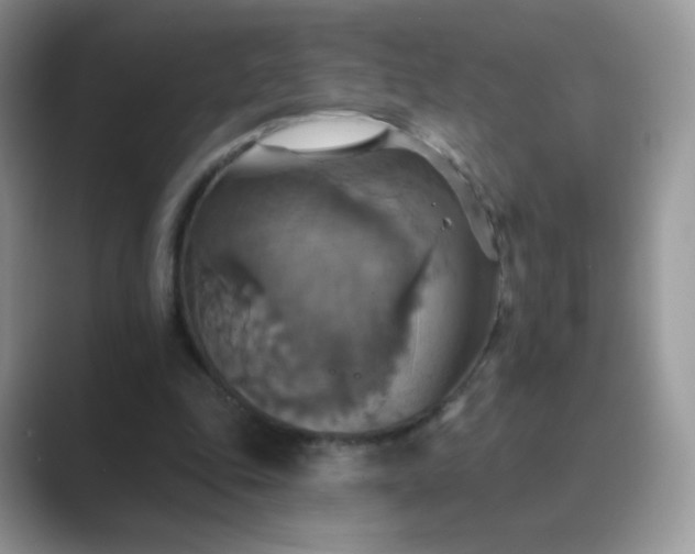 X0000089720343200707051724