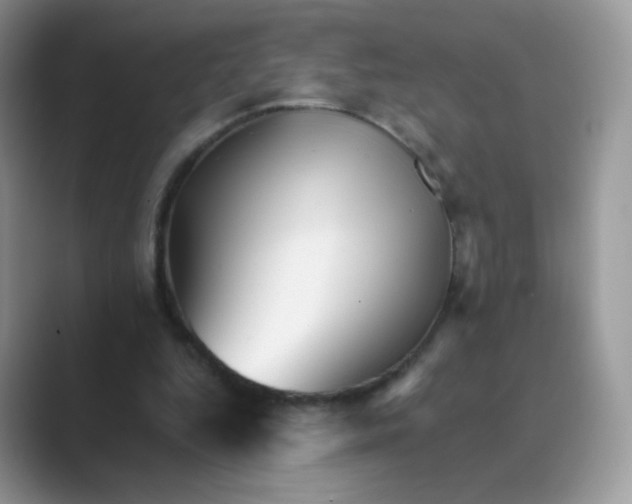 X0000089720344200707051724