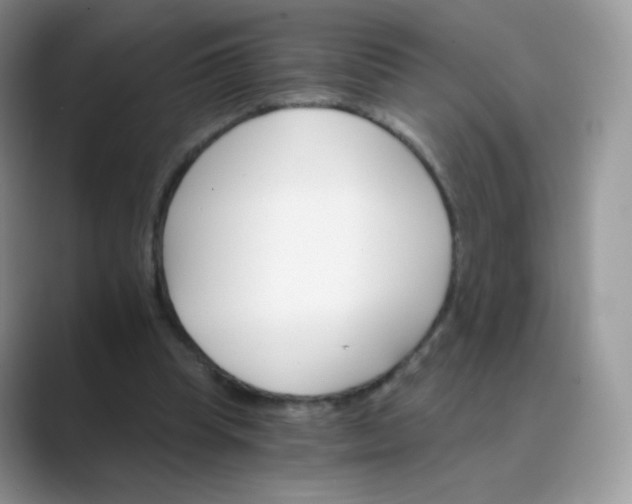 X0000089720345200707051724