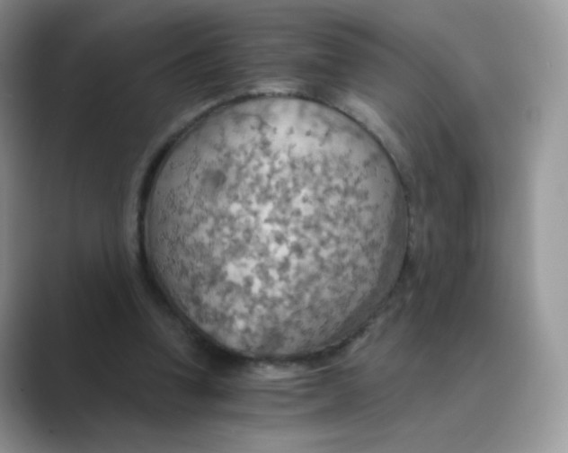 X0000089720346200707051724