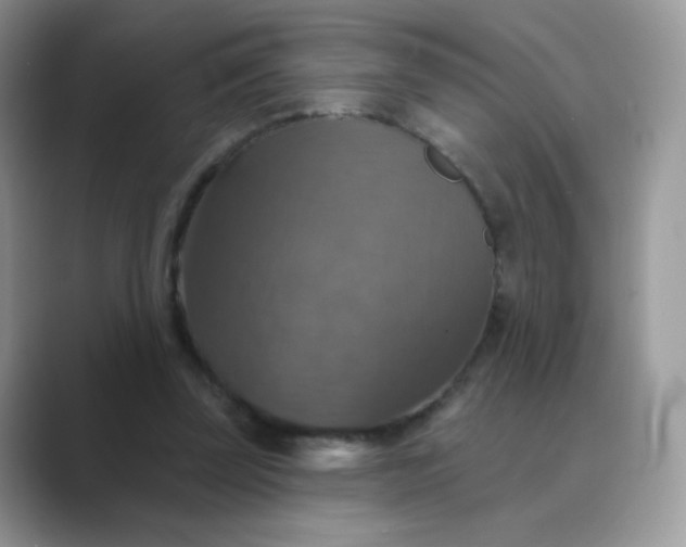 X0000089720347200707051724