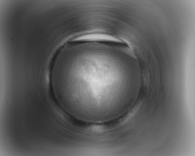 X0000089720350200707051724