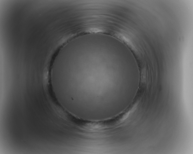 X0000089720351200707051724
