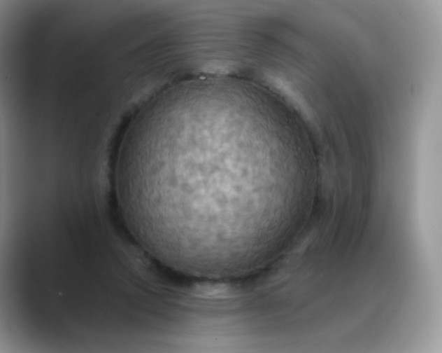 X0000089720354200707051724