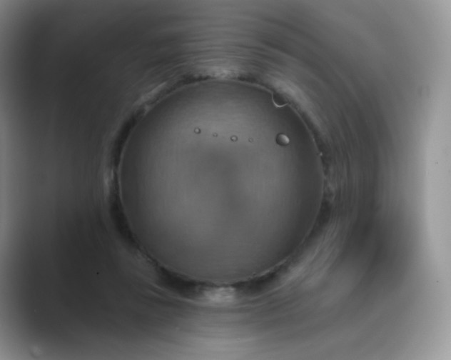 X0000089720355200707051724