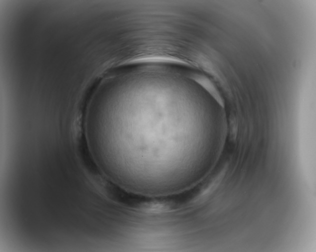 X0000089720356200707051724