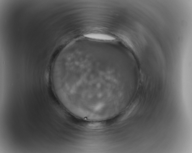 X0000089720357200707051724