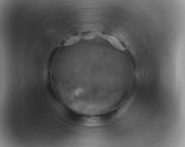 X0000089720359200707051724