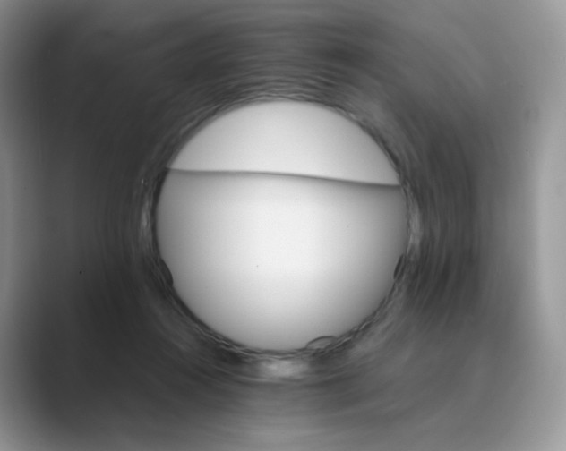 X0000089720360200707051724