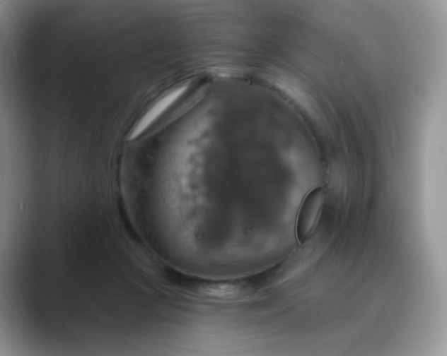 X0000089720361200707051724