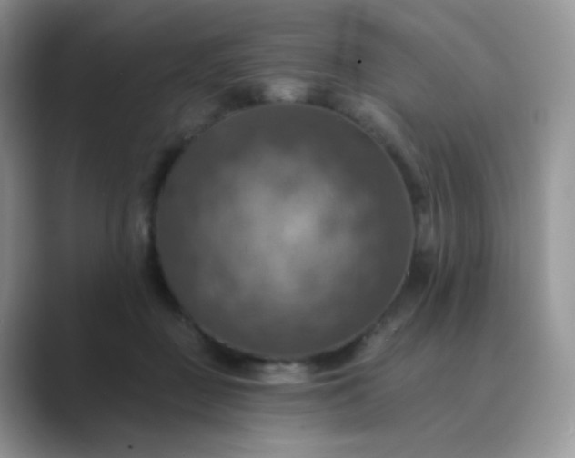 X0000089720363200707051724