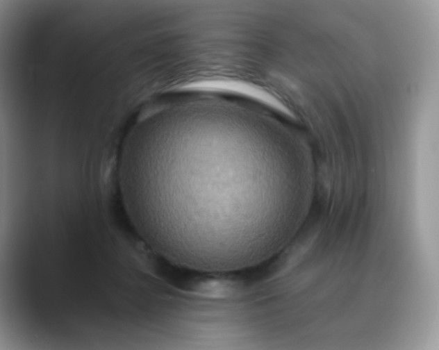 X0000089720364200707051724