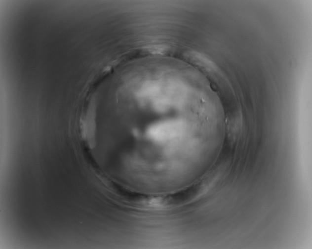 X0000089720365200707051724